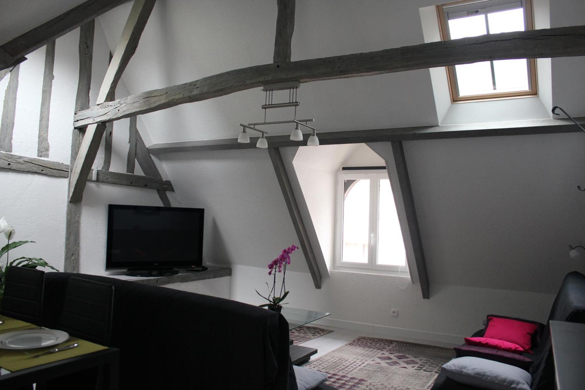 Le Logis De La Tour Apartment Amboise Ngoại thất bức ảnh