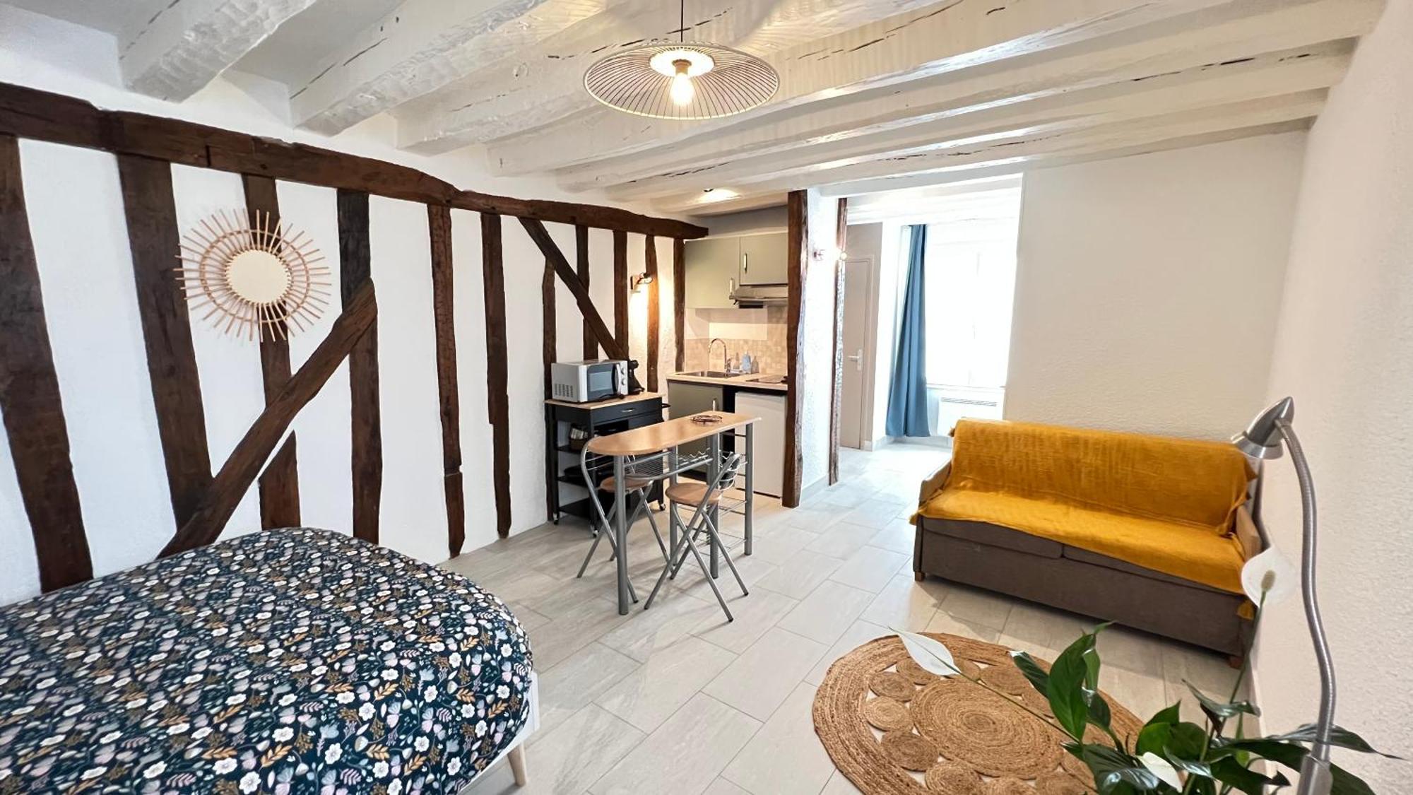Le Logis De La Tour Apartment Amboise Ngoại thất bức ảnh